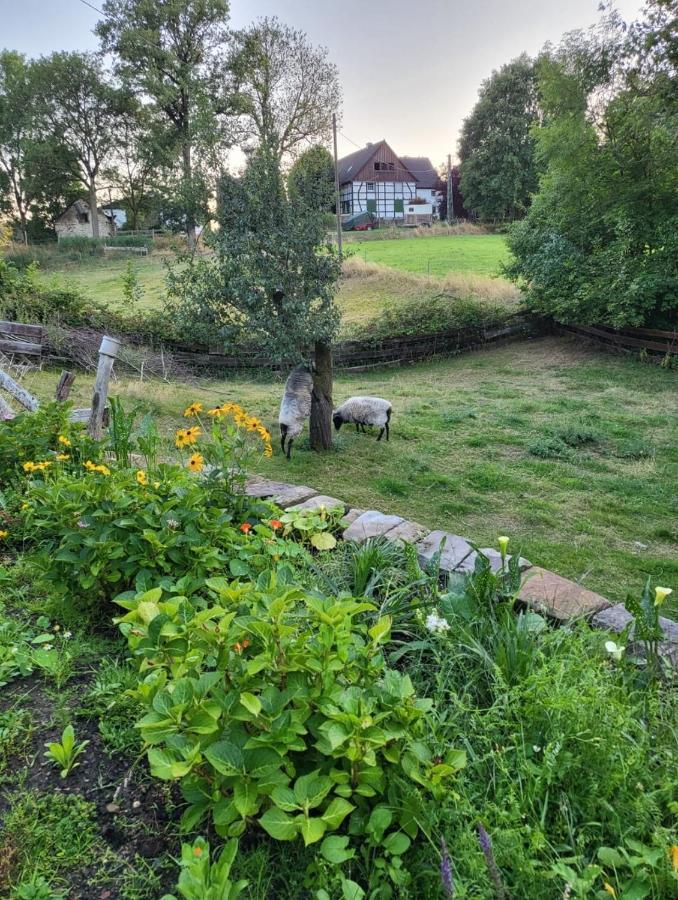 Souterrainwohnung Im Gruenen Witten Exteriér fotografie